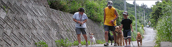 犬 訓練 沖縄